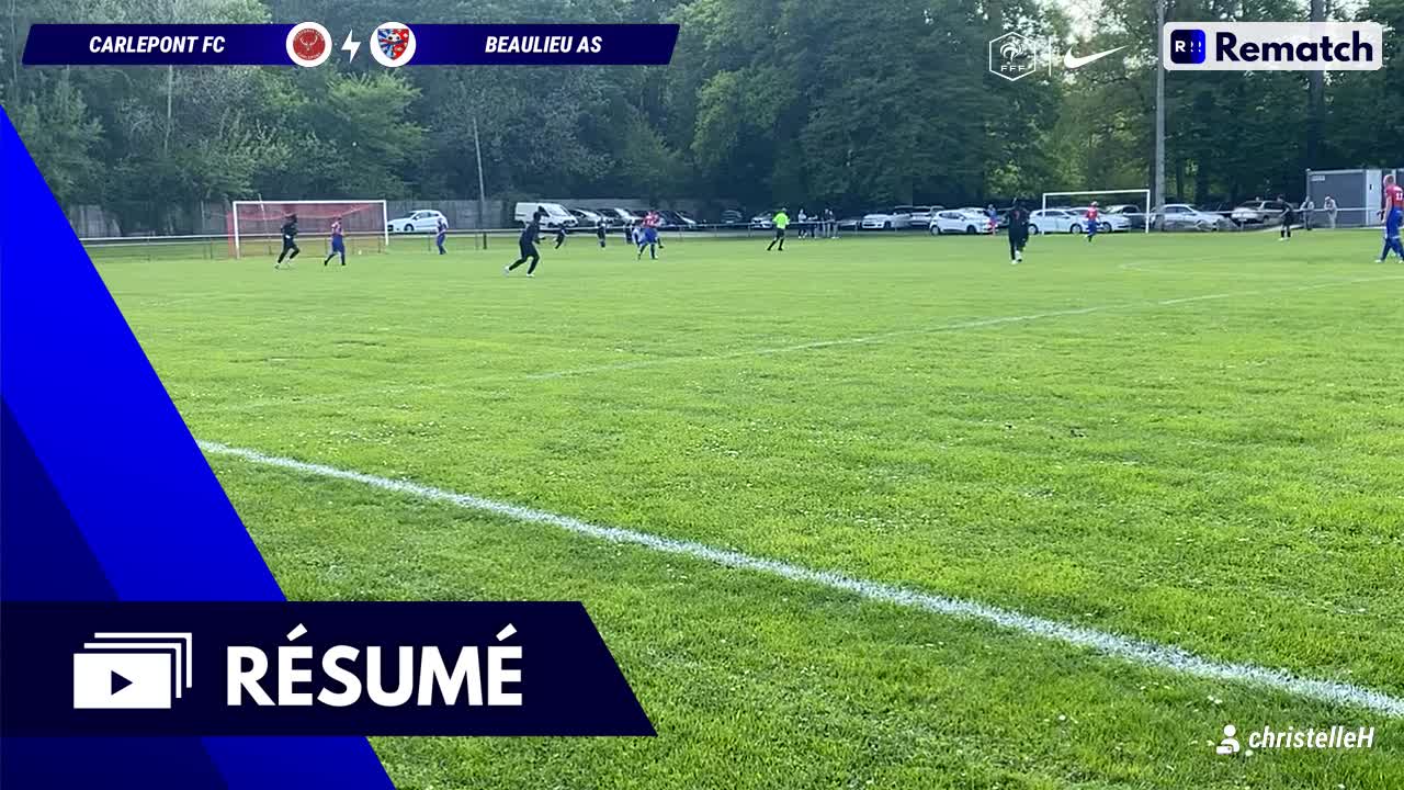 Vignette du résumé