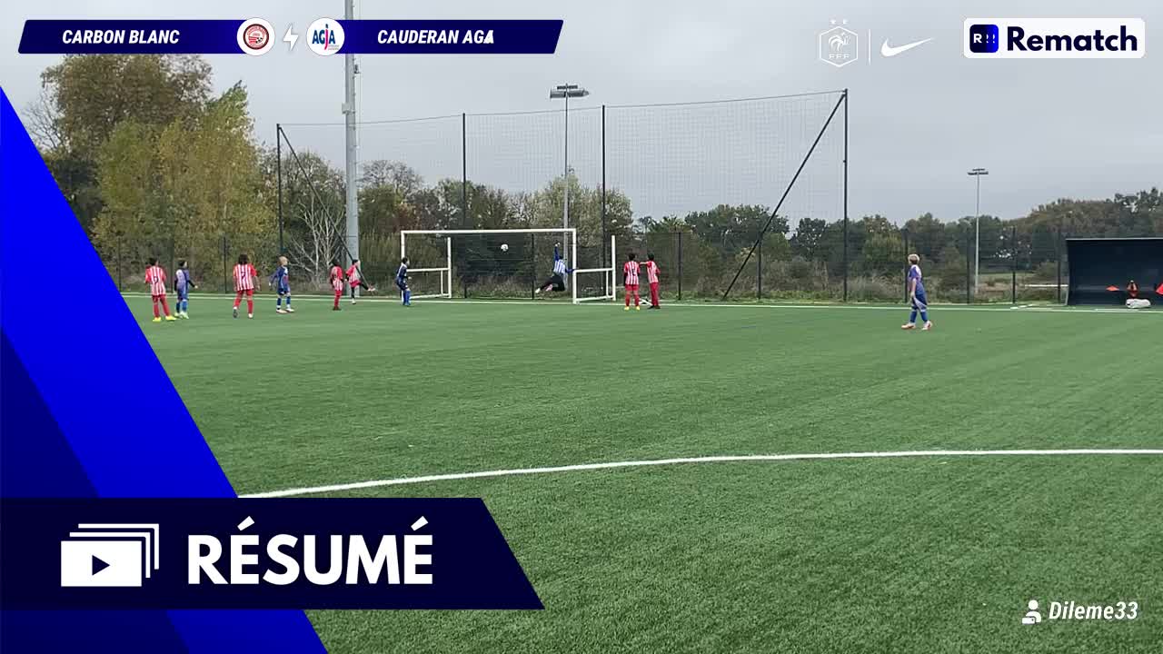 Vignette du résumé