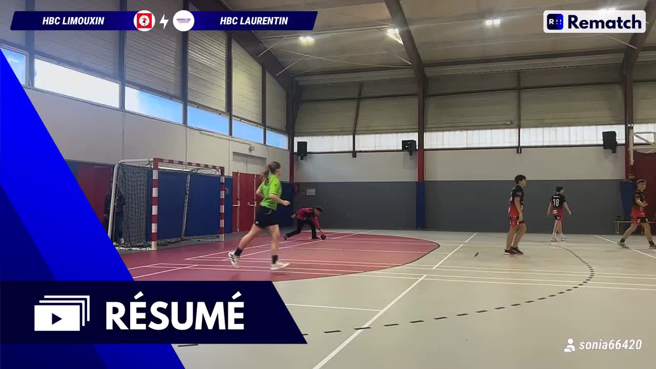 Vignette du résumé